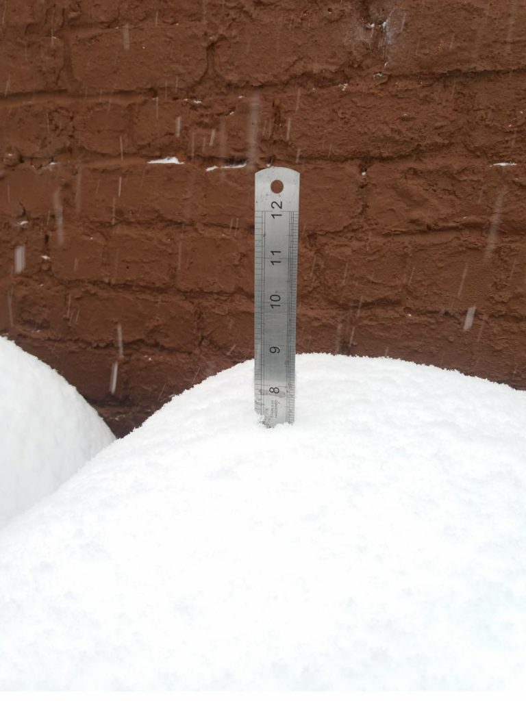 Snow Measuring Stick